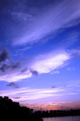 久しぶりの紫の空