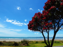 Orewa beach