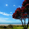 Orewa beach