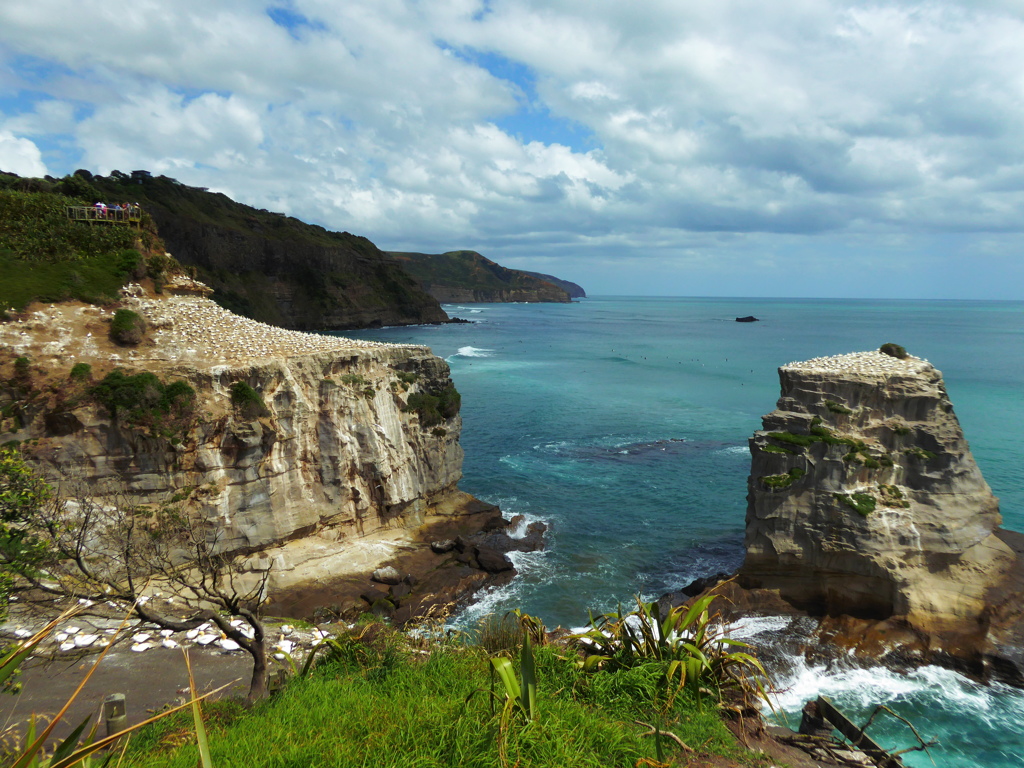 Muriwai Beach