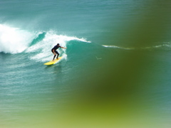 Surfer @ Muriwai beach