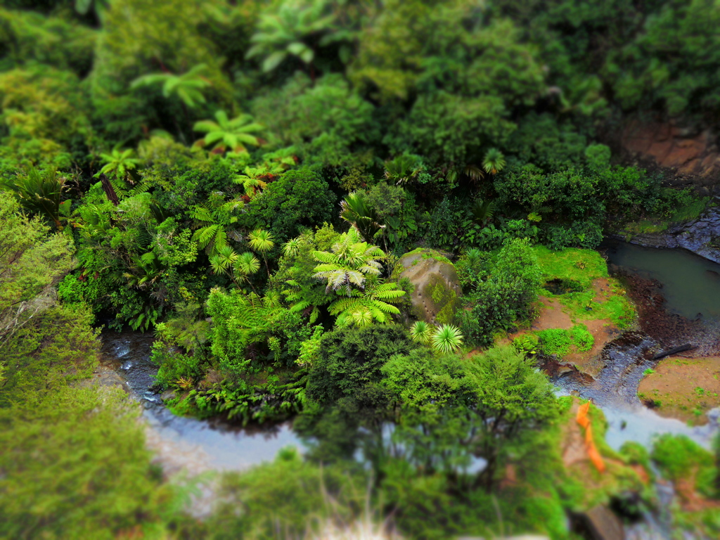 Diorama Bush