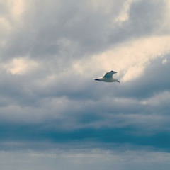 曇り空