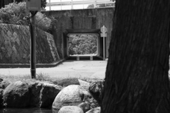 宮ケ瀬にて