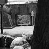 宮ケ瀬にて