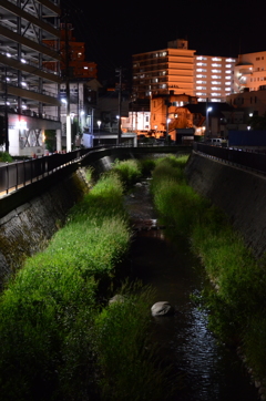 裏路地（広いけど・・・）