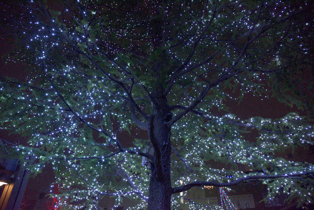 今頃か　寒さ際立つ　雪！！！