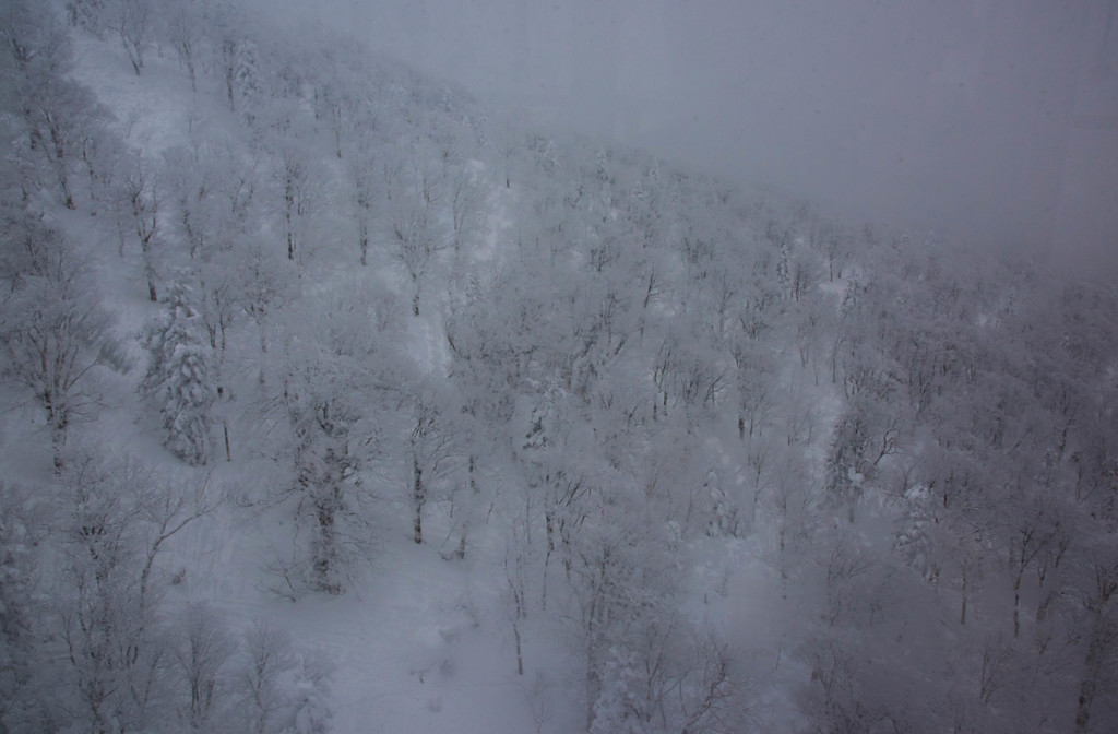 同じ山なんですけどね