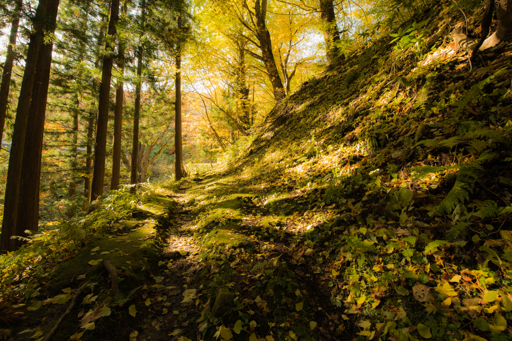 山道