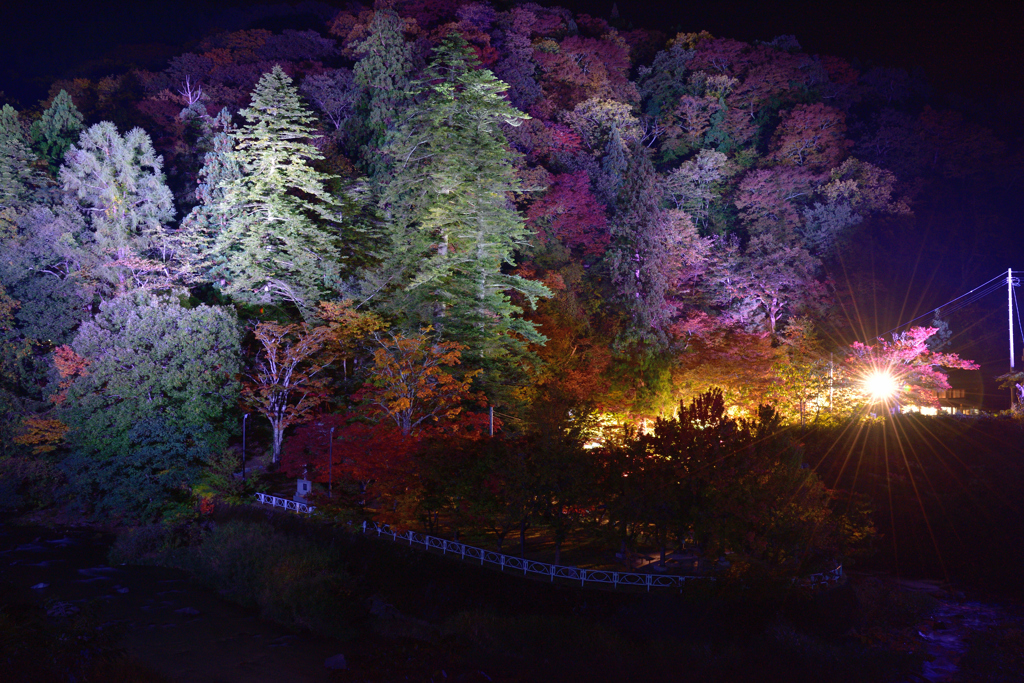 もみじ山　夜