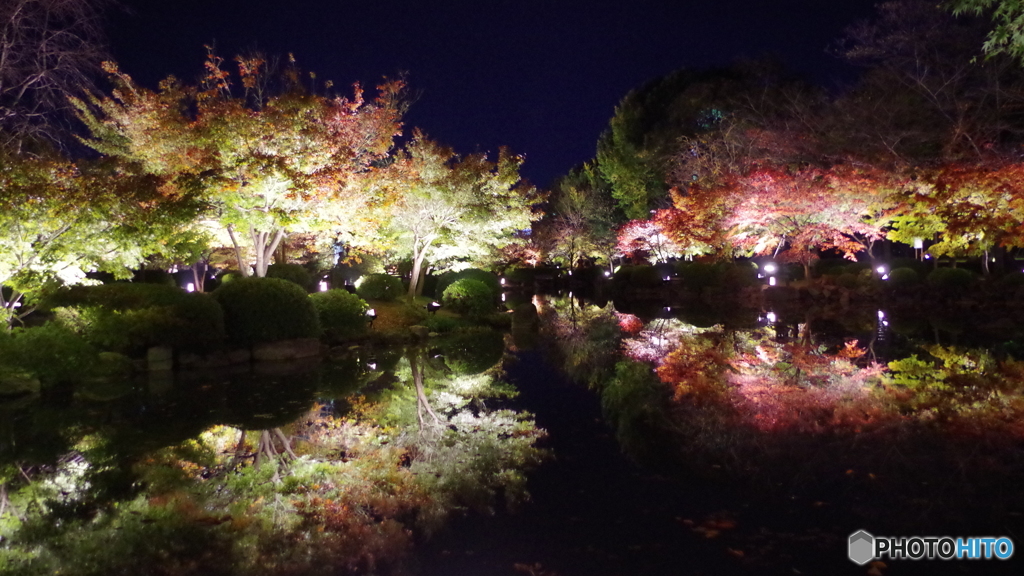 秋の夜長