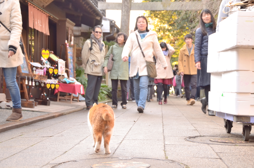 小さな旅人