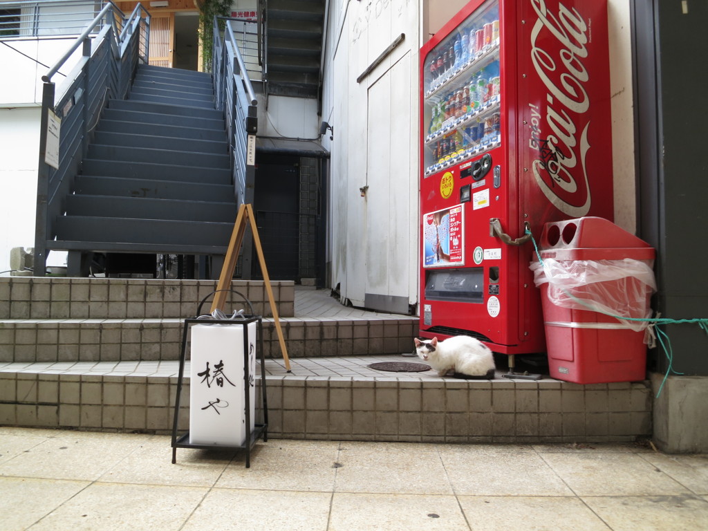 街の片隅に…