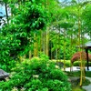竹林公園