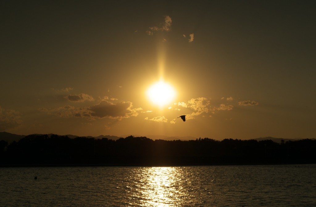夕景