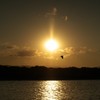 夕景