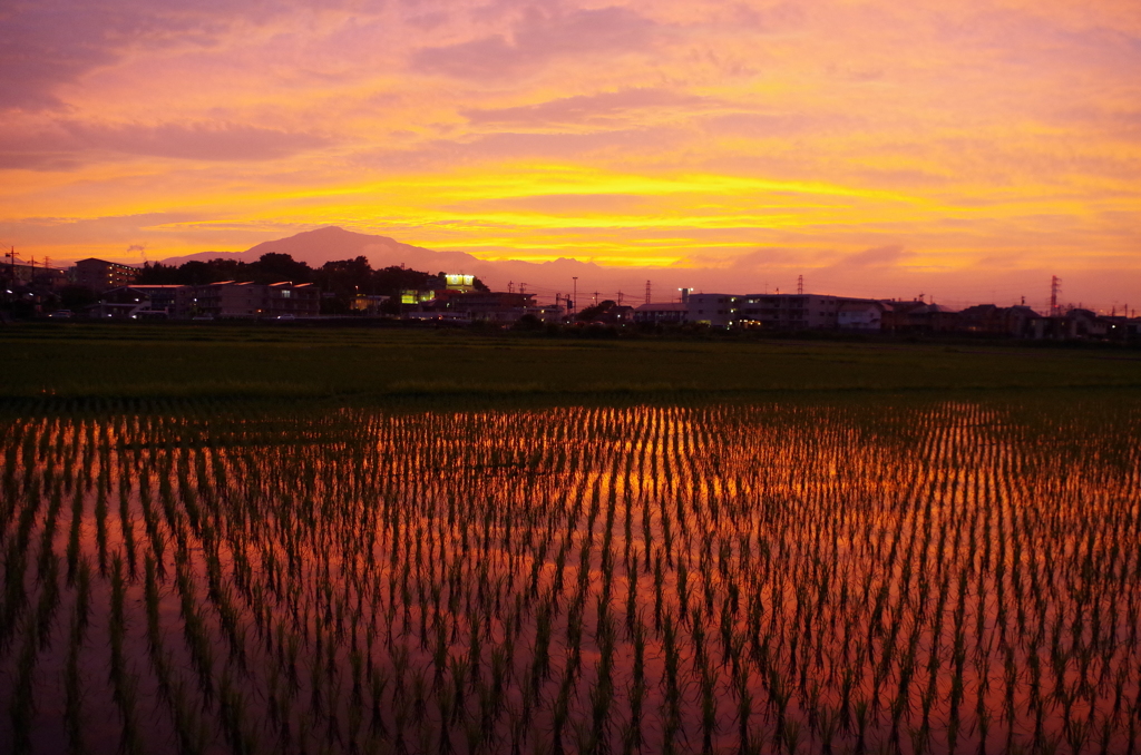 今日の夕焼け