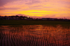 今日の夕焼け