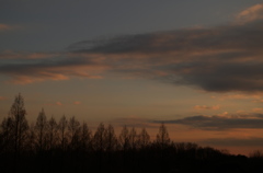 夕景