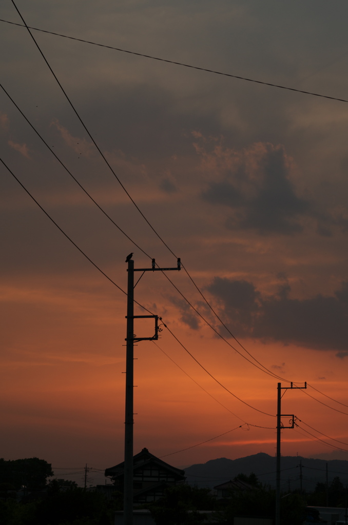 夕景