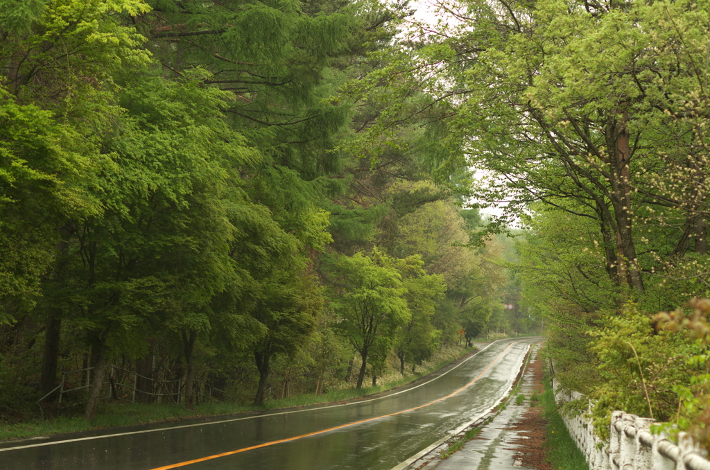 高原の雨