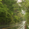 高原の雨