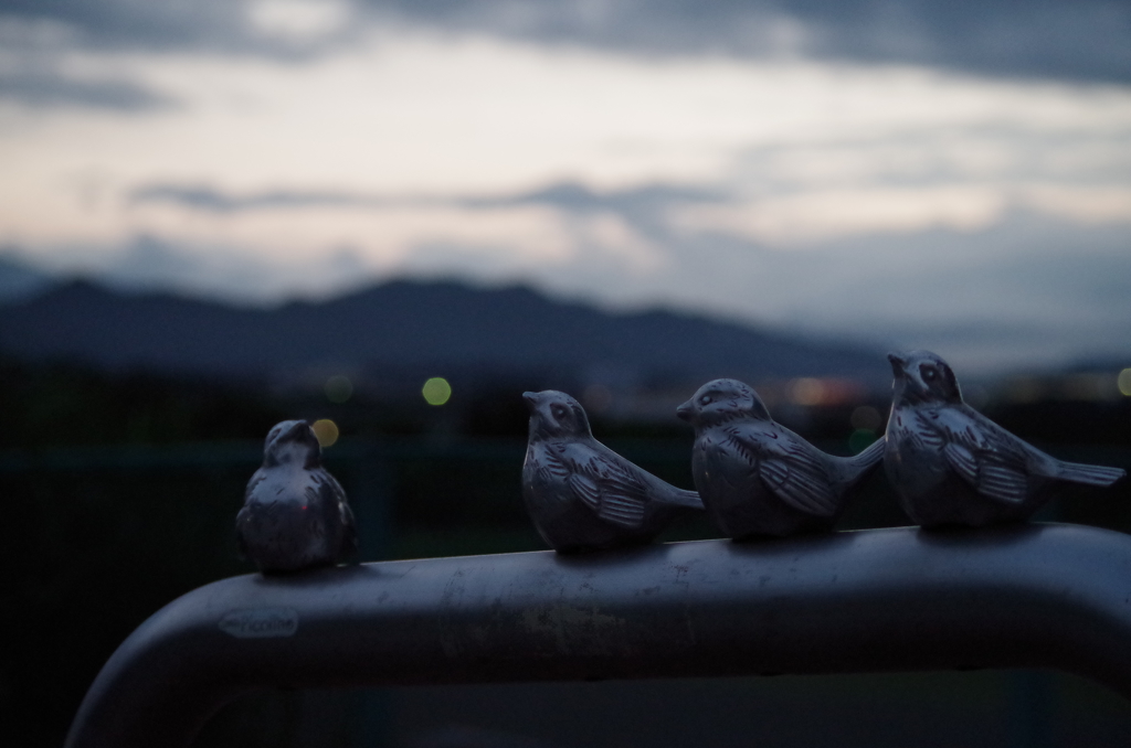 夕闇