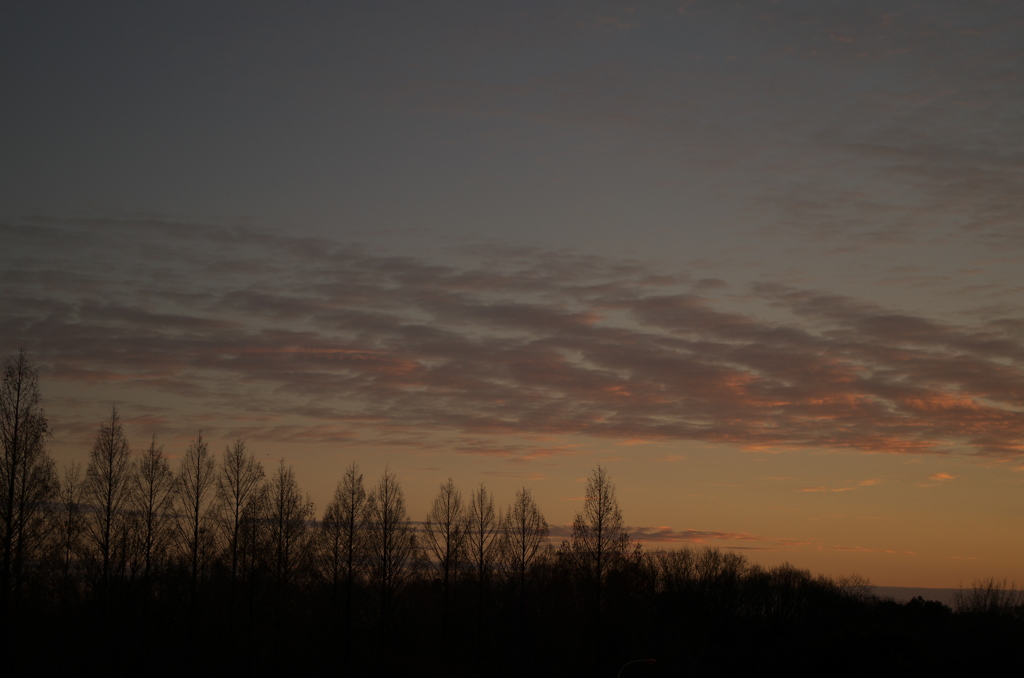 夕景