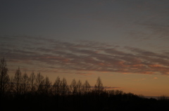 夕景