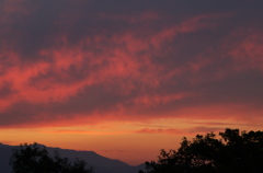 今日の夕景