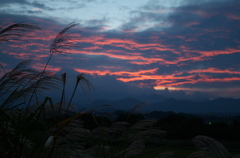 夕景