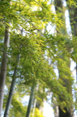 風