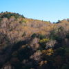 晩秋の高原