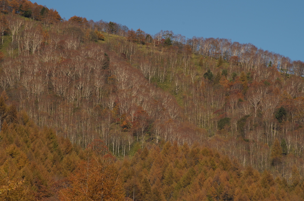 山の上