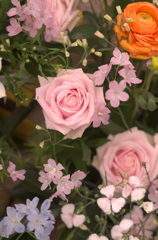 室内の花