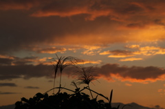 今日の夕景
