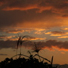 今日の夕景