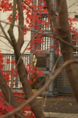 門松と紅葉