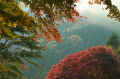 山の紅葉