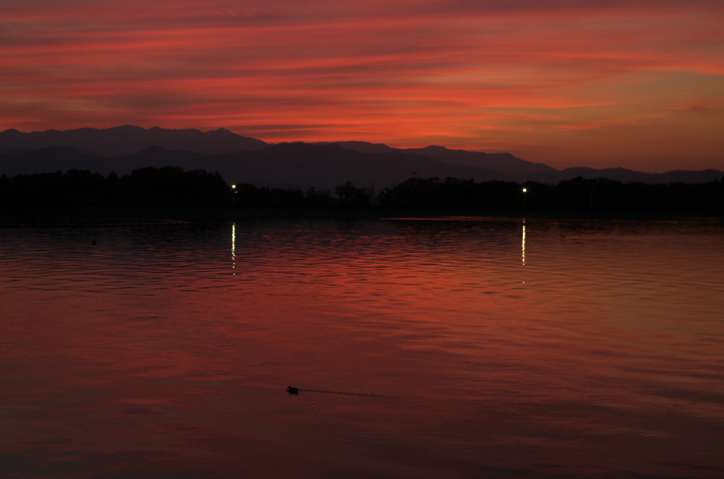 夕景