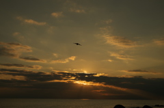 夕景