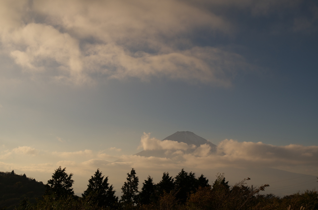 箱根から