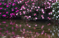 映り込み