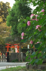 目黒不動尊