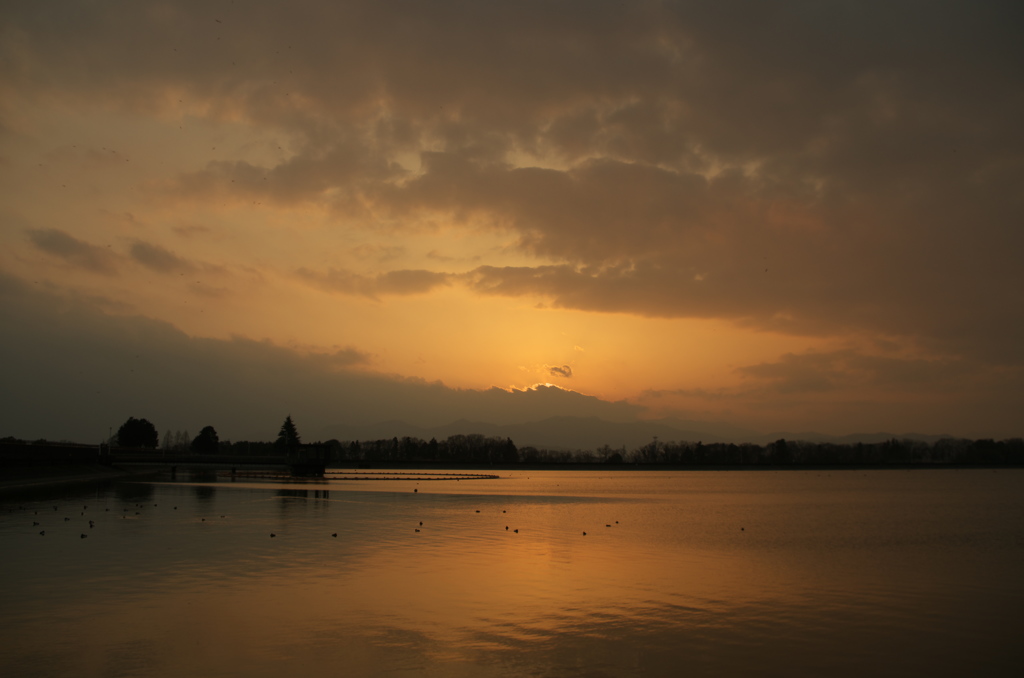 夕景