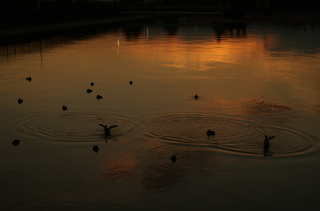 夕景