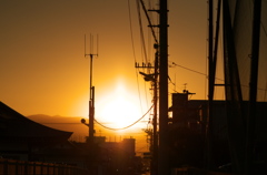 日没