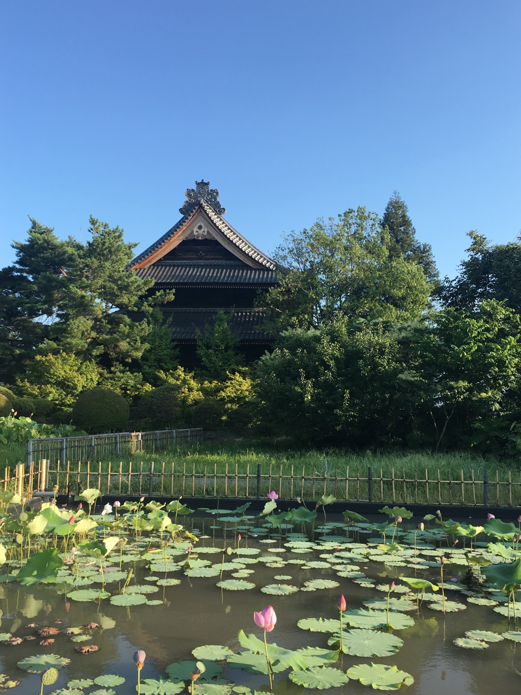 上田市国分寺