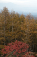 麦草峠