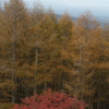 麦草峠